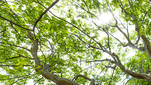 日焼け止めのSPFとPAについて